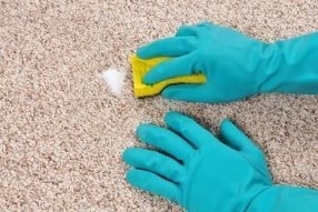 Commercial Contract Cleaning Across Devon & Exeter from Carpet Magic