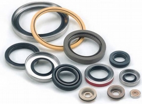 Wide Range of Seals and O Rings by TFC Ltd.