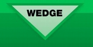 Wedge Group Galvanizing Ltd Logo