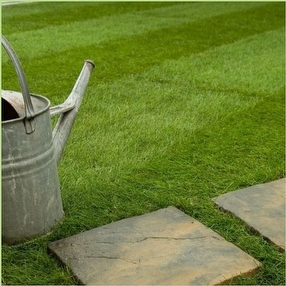 Q Lawn Classic Lawn Turf by Harrowden Turf Ltd